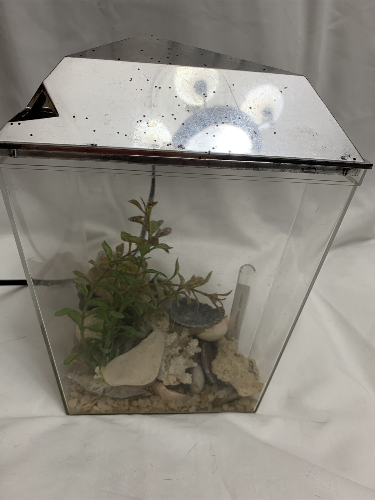 Picture 4 of 6