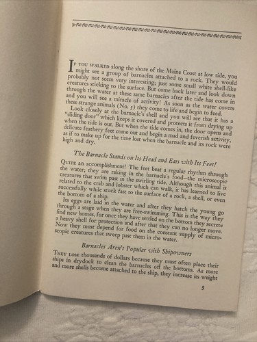 Life in Shallow Sea Water,Bartram Cadbury; NatAudubon Soc., Nature Program, 1954 - Picture 4 of 15