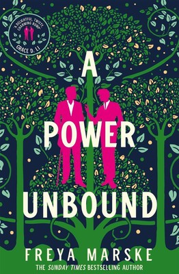 A Power Unbound | Freya Marske | englisch