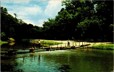 PINE CREEK White Pines Forest State Park ILLINOIS IL fishing Postcard