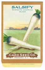VINTAGE CARD SEED PACKET FLOWERS ADVERTISING C1910 SALSIFY MAMMOTH FOLK ART C55