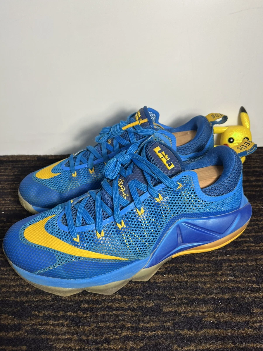 Nike LeBron 12 Low Earned Entourage Photo Blue 724557 484 Blue