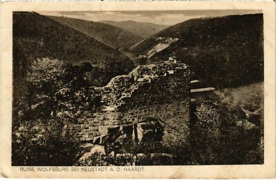 CPA AK Neustadt- Ruine Wolfsburg GERMANY (1023446)