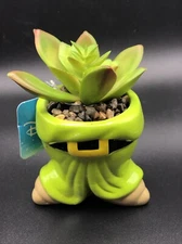 New Disney Snow White Seven Dwarfs DOPEY Mini Faux Succulent Plant
