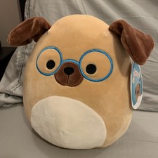 squishmallow dog with glasses