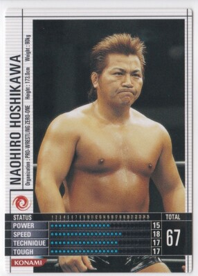 Naohiro Hoshikawa 2004 Konami Wrestle Arena Battle Climaxx! #W39