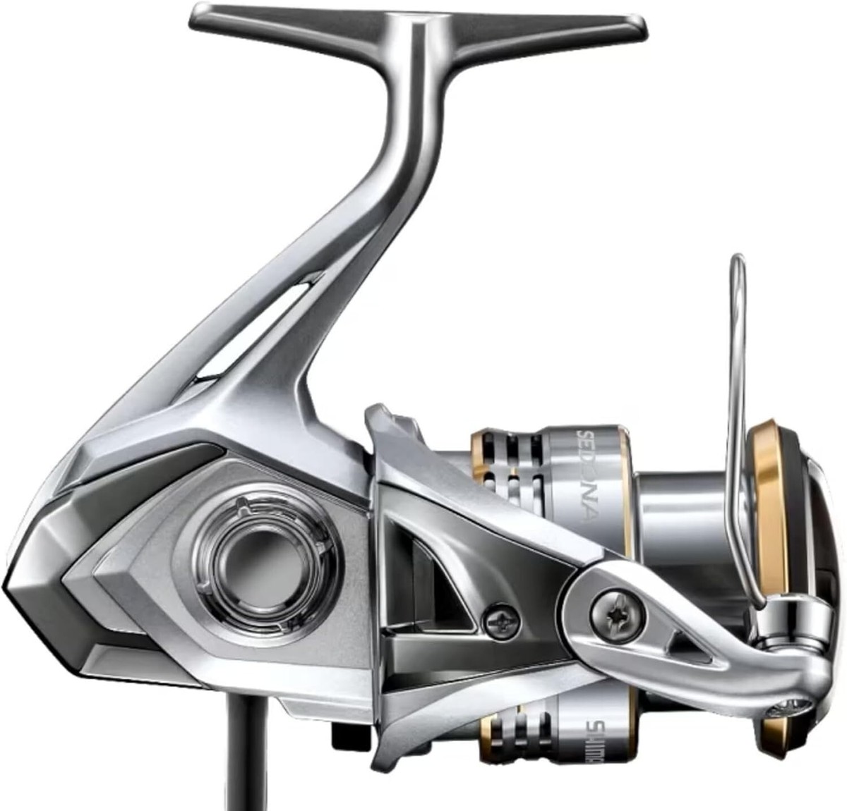 SHIMANO 23 SEDONA 4000XG Spinning Reel Fishing from Japan New | eBay