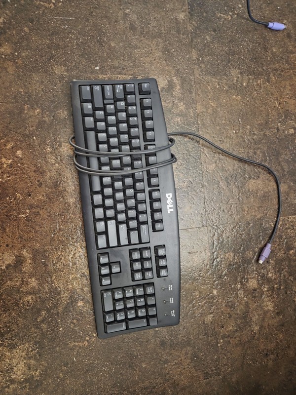 2 Dell Computer Wired Keyboards, 1 Dell Wired Mouse, And 1 Logitech Wired Mouse