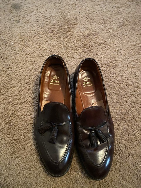 holland long wing oxford