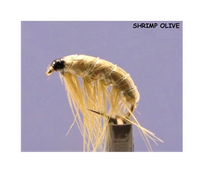 Pesca Mosche Gamberetti E Strisciando Ninfe Dodici Confezione Misura 8 - Foto 6