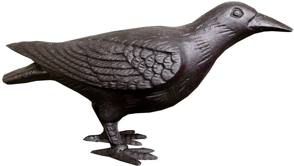 Primitivo Grande Realista Decorativo Hierro Fundido Cuervo Pájaro Negro Cabeza Foto 2 de 3