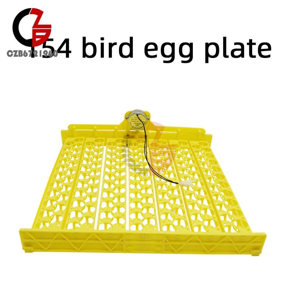 Incubadora automática de huevos 56/154/70-108 de control de temperatura de pollo y pato Foto 4 de 4