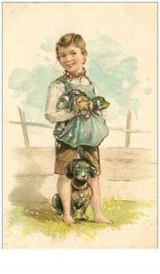 dog . n°38132. dachshund. illustrator. humanized. embossed