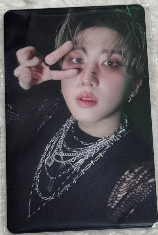 Stray Kids Bang Chan Photocard HOP HIPTAPE nemo JYP Official All