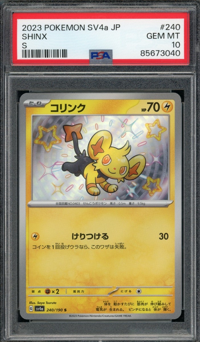 2023 PSA 10 Pokemon Japanese Shiny Treasure ex Shinx 240/190 2023 PSA 10 Pokemon Japanese Shiny Treasure ex Shinx 240/190