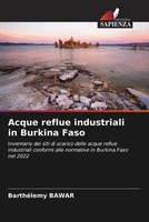 BarthéLemy Bawar | Acque Reflue Industriali In Burkina Faso | Taschenbuch (2023)