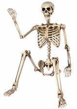 5.4 Ft Halloween Skeleton Life Size, Posable Skeletons Decor, Full Body Movab...