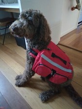 Dog hiking backpack brand new water bowl and drop sheet for large             