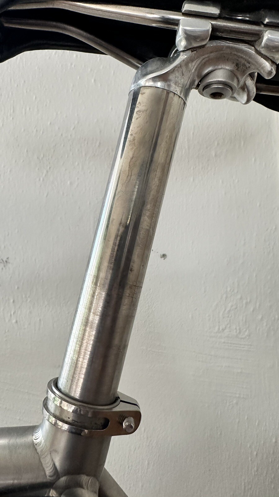 merlin cyrene for sale