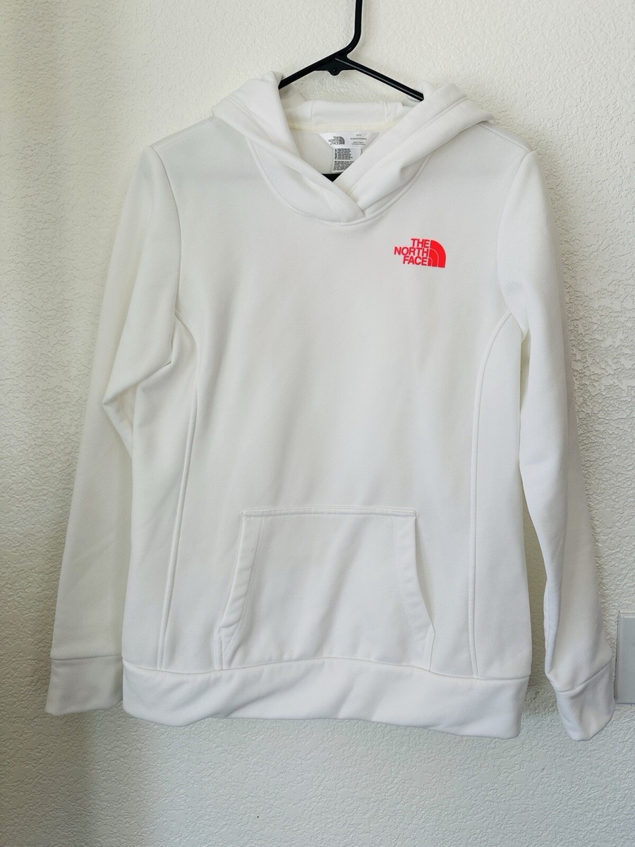 The North Face Watch My Back Pullover Hoodie Sweatshirt