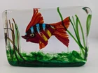 FABULOUS LARGE ALFREDO BARBINI CENEDESE MURANO AQUARIUM SCULPTURE MCM