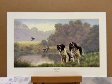 Nigel Hemming - Watersports Springer Spaniels  (Print Only) - In Stock