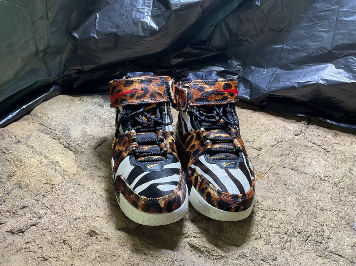 Nike Zoom Lebron 2 LX Size 13 Beast | eBay