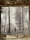Taylor Swift – Folklore - Beige 2 x LP Vinyl Records 12" - NEW Sealed Free Ship