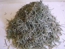 ROMARIN SECHE BIO DE MON JARDIN, IDEAL TISANE DETOX FOIE