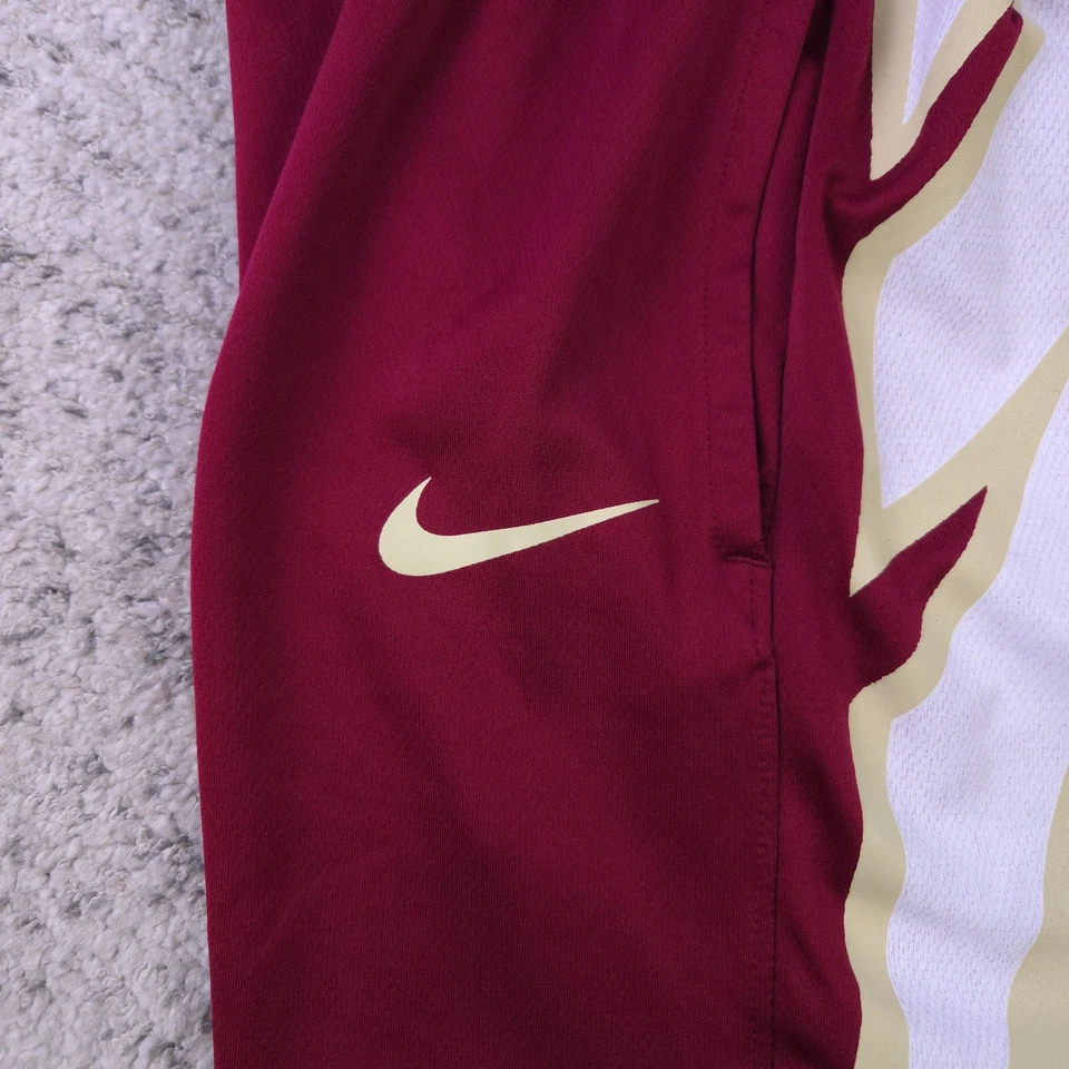 Pantalones Cortos Florida State Seminoles Para Hombres Medianos Nike FSU Malla Entrenamiento Logo Pluma Foto 3 de 4