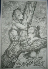 * TRI CHEM 7773 BEAR CUBS IN A TREE Picture TRICHEM