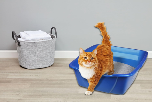Pureness Giant Cat Litter Pan, Assorted Colors - Picture 4 of 12