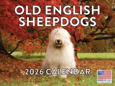 Old English Sheepdog Calendar 2026 Monthly Wall Calender 12 Month