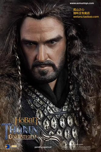 Asmus Toys HOBT06 The Hobbit Thorin Oakenshield 1/6 Action Figure Collection - Picture 6 of 11