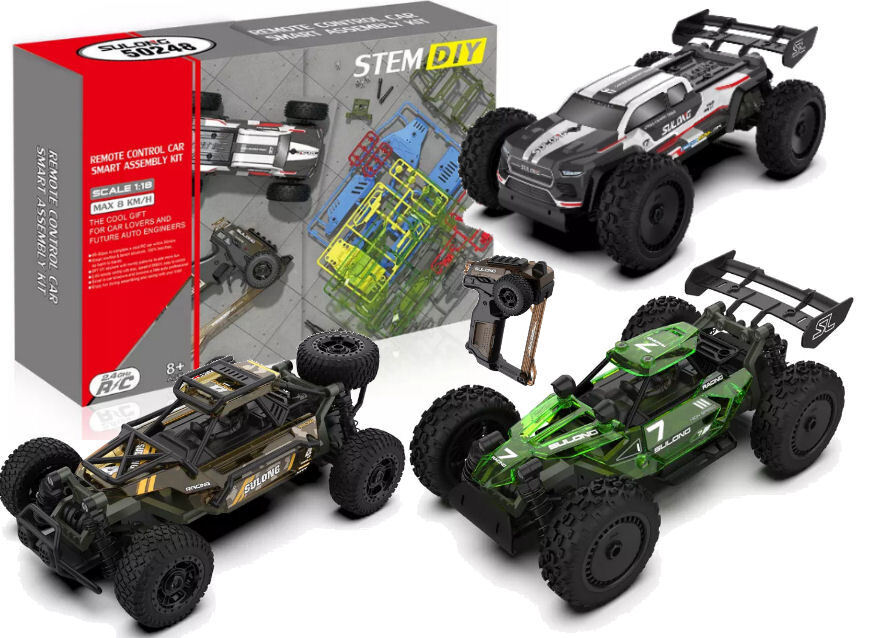 RC Car/Buggy Kit RTR 2.4GHz 2WD, Fantastic Fun, Easy to Build, Choose  Colours | eBay