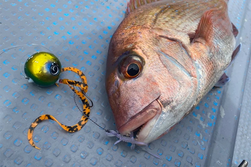 ** Профессиональный морской легкий рейдер металлический TAIRABA металлический наконечник Tai резиновый джиговый стержень - Изображение 3 из 3