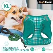 Dog Harness & Leash Set Breathable Air Mesh Chest Strap Reflective Walking Vest