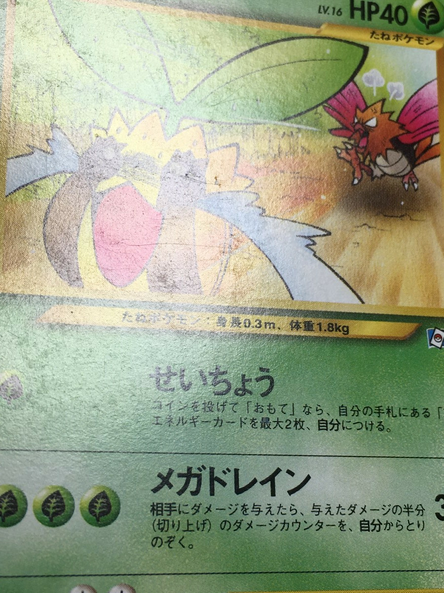 Sunkern Pokemon 2000 Natta Wake Vol.4 Promo Japanese 191 VG+ | eBay