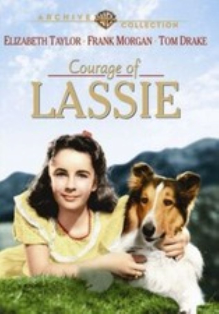 COURAGE OF LASSIE - (1946 Elizabeth Taylor) SLIM CASE DVD FREE SHIPPING