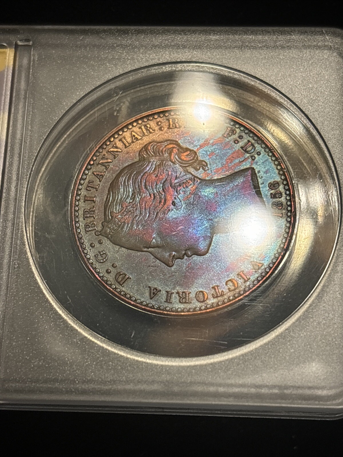 Picture 8 of 20