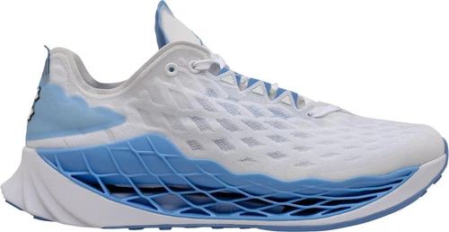 Jordan Zoom Trunner Ultimate UNC