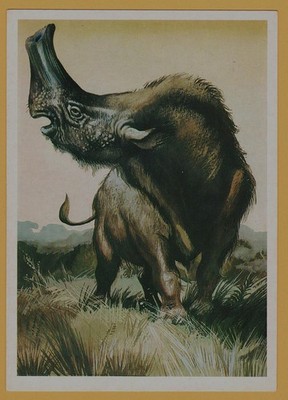1986 Embolotherium Prehistoric Animal Dinosaur Era Paleontology USSR Postcard