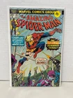 The Amazing Spider-Man #153 (Marvel Comics February 1976) FN/VF