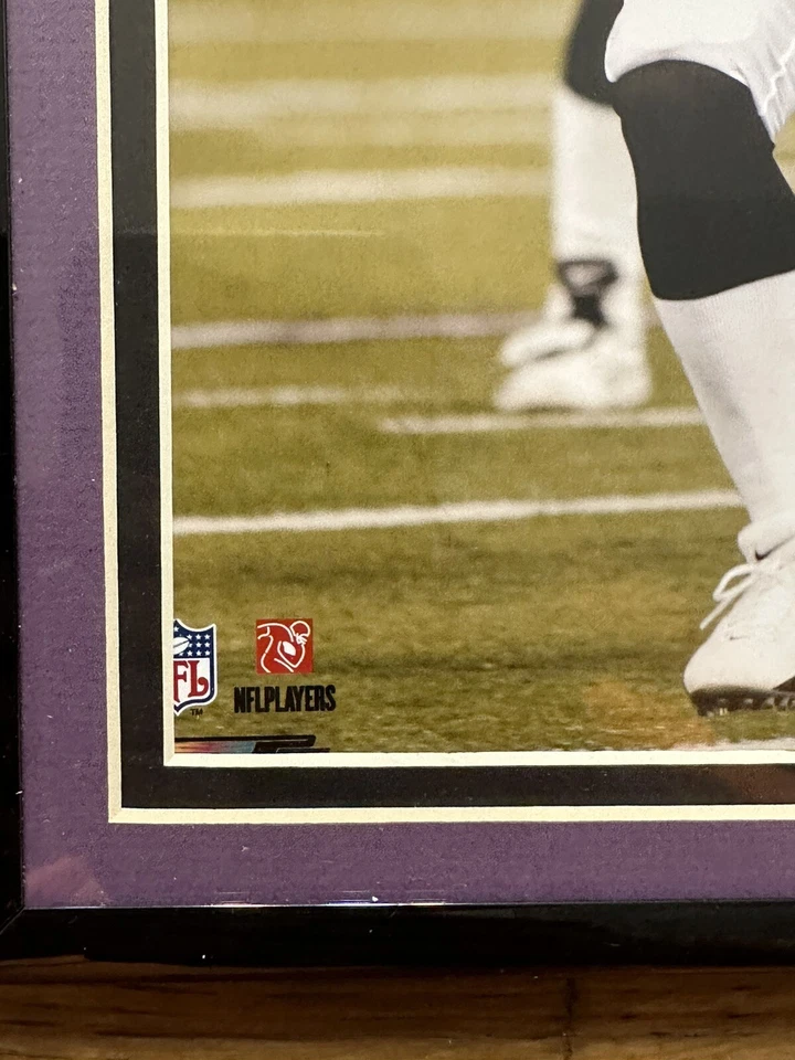 Foto de Steve McNair de los Baltimore Ravens 2005 NFL, estadísticas y logros de la NFL enmarcados Foto 4 de 4