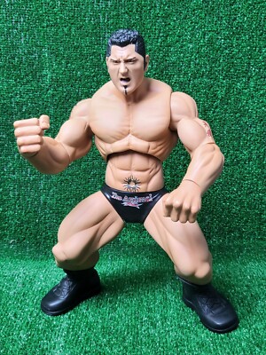WWE The Animal Dave Batista Ring Giants Jakks Pacific 14'' Wrestling Figur sehr guter Zustand