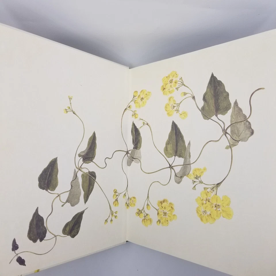 Botanical Art: From Renaissance Herbaria to the 19th Century – 2018 VMB - Image 4 of 4