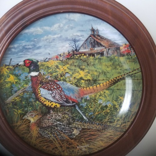 The Pheasant`1986 1St Issue Birds Series`Collectors Plate`Knowles WithWood Frame - Picture 4 of 8