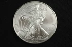 NobleSpirit (LG) Superb Gem BU 2009 American Silver 1oz Eagle