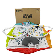 Sassy Hello Baby Milestone Play Gym Playmart 0 Months Multicolor OB9435 TC 
