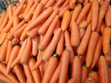 3,000 Imperator 58 Carrot Seeds - Non-GMO Heirloom Seeds - AAS Winner  